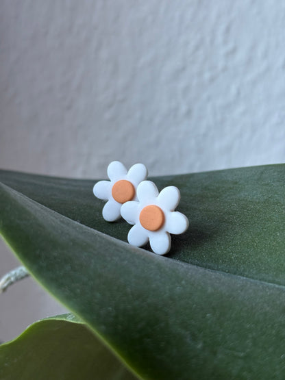 Sweet Daisy